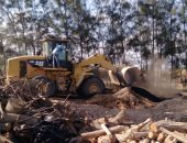 وزارة البيئة  تزيل 7 مكامير فحم نباتى بمحافظة البحيرة