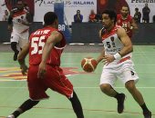 22يناير.. الحكم فى دعوى بطلان انتخابات الاتحاد المصرى لكرة السلة