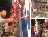 الشركة المصرية للحوم: وصول 5 آلاف رأس ماشية من جيبوتى واللحوم متوفرة خلال رمضان