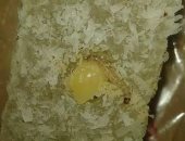 محضر ضد محل حلويات شهير بدمياط بعد العثور على دودة داخل "الملبن"