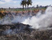 تحرير 50 محضرًا بيئيًا وحرق داخل الأراضى الزراعية بقرية المدمر فى سوهاج