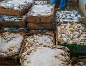 توقف مراكب الصيد وارتفاع أسعار الأسماك بسبب سوء الأحوال الجوية بدمياط