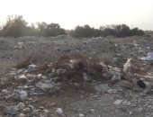 بالفيديو والصور.. مجهولون يلقون مخلفات بناء بأراضى كورنيش السويس