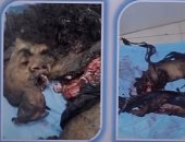 بالصور.. الأدلة الجنائية كلمة السر فى التوصل للإرهابى منفذ تفجير الكنيسة البطرسية.. 6 ساعات خلف الأجهزة الحديثة كشفت هوية "محمود شفيق".. الداخلية: الدم أسرع وسيلة لمعرفة الحقيقة.. ولدينا أحدث المعامل