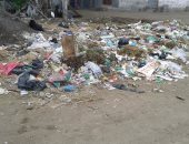 بالصور.. تراكم القمامة فى شوارع عزبة شعبان فى السنبلاوين بالدقهلية
