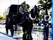 بالصور.. القارئ عمرو البكرى يبرز جمال مدينة الإسكندرية بكاميرا هاتفه