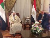 سامح شكرى يبحث مع وزير الدولة الإماراتى العلاقات العربية مع إدارة ترامب