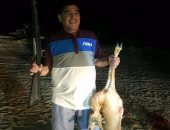 غضب كبير ضد مارادونا بسبب اصطياده ظبياً مهدد بالانقراض فى دبى