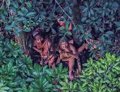 بالصور.. قبائل من القرن الحجرى تعيش حياة بدائية فى غابات الأمازون