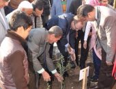 محافظ بنى سويف يشارك فى زراعة 8500 شجرة زيتون بالمدارس