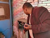 بالفيديو.. نائب رئيس حى العجوزة يضبط بائع فاكهة يسرق كهرباء من سور مدرسة