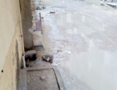 أهالى منطقة العامرية بالإسكندرية يشكون تراكم مياه الأمطار بالشوارع