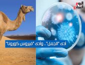 فيديو معلوماتى.. آدى "الجمل" وآدى فيروس كورونا.. ما العلاقة بينهما؟