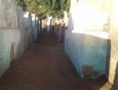 بالصور.. شباب قرية سلامون بالبحيرة ينظمون حملة لتنظيف المقابر