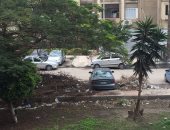 قارئ يطالب برفع مخلفات الأشجار والقمامة من شوارع سموحة فى الإسكندرية