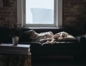 "لو بتشتغل من البيت"..4 نصائح للتخلص من الكسل والشعور بالنوم