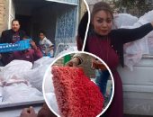 بالفيديو والصور.. تقرير حكومى يكشف ضبط 7 أطنان لحوم حمير بالجيزة.. "الزراعة" و"التموين" تكثفان الحملات الرقابية على الأسواق لضبط المغشوش بالمحافظات.. والخدمات البيطرية: إجراءات مشددة بالمطاعم والفنادق