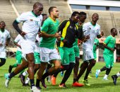 استمراراً للأزمة.. "تمرد" لاعبى زيمبابوى يهدد ودية الكاميرون