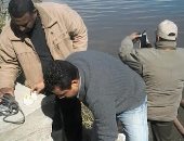 "البيئة" تطلق حملة موسعة للتفتيش على المنشآت الصناعية على نهر النيل