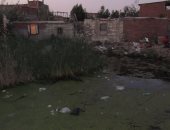 بالصور.. مياه المجارى تغرق منازل أهالى "الجناين" ببورسعيد لكسر ماسورة الصرف