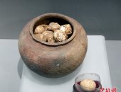 بالصور.. متحف بالصين يعرض "بيض" عمره" 2800 عام