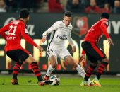 تقارير: مصر و3 منتخبات مرشحون للفوز بأمم أفريقيا