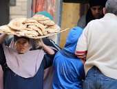 "تموين" كفر الشيخ: إصدار 81 كارت مفتش فئة ألف رغيف حلاً لأزمة الخبز