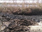 محافظة بورسعيد تنفى ردم أجزاء من بحيرة المنزلة