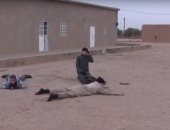 بالفيديو.. "سوريا الديمقراطية" تقبض على 3 أطفال يقاتلون بجانب داعش بالرقة