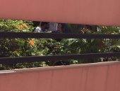 مباراة فى الطاولة بين محمد صلاح وحمادة طلبة قبل صلاة الجمعة