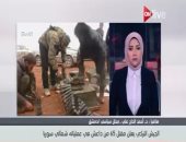 بالفيديو.. محلل سياسى لـ"ON live": فشل محادثات "أستانة" حول سوريا يودى لصراع وفوضى