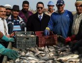 "تموين أسوان" تضبط 400 كيلو أسماك مهربة من بحيرة ناصر