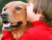 5 نصائح لازم تعرفها قبل ما تفكر تربى كلب.. مكان الشراء والتطعيمات أهمها