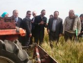 الرى ترفع مذكرة لـ "الحكومة " عن نتائج زراعة القمح مرتين فى العام