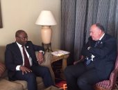سامح شكرى يبحث مع نظيره الغينى دعم العلاقات الثنائية بين البلدين