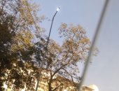 قارئ يرصد إضاءة أعمدة الكهرباء نهارا فى شارع رمسيس بالعباسية