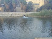 قارئ يرصد ماسورة "صرف صحى" بمياه النيل فى منطقة المنيل