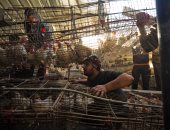 بالصور.. آثار الغارات الإسرائيلية على شرق قطاع غزة