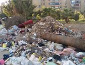 بالصور.. القمامة والكلاب الضالة يحاصران أهالى زهراء مدينة نصر