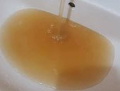 شكوى من تلوث مياه الشرب بمنطقة "الشيخ مصلح" فى القليوبية