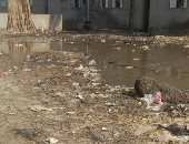 أهالى قرية الجزيرة الخضراء بكفر الشيخ يشكون تراكم القمامة ومياه الصرف الصحى