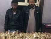 ضبط سيارة نقل شرق قناة السويس محملة بـ250 كيلو مخدرات