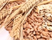 دراسة: تناول الحبوب الكاملة يساعد على تعزيز صحة الأمعاء