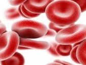 4 نصائح لتعزيز وجود خلايا الدم الحمراء.. أهمها الإقلاع عن التدخين