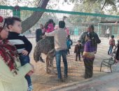 شكوى من دخول الزائرين للأماكن المخصصة للطيور بحديقة حيوانات الإسكندرية