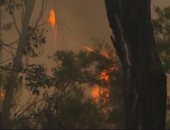 السلطات الأسترالية تخلى سكان ولاية نيو ساوث ويلز بسبب حرائق الغابات