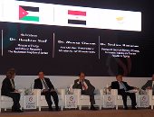 وزير البترول: البنك المركزى يوفر 800 مليون دولار شهريا لاستيراد الوقود