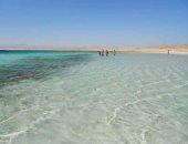 البيئة تبدأ رسميا تطبيق التصاريح وزيادة رسوم محميات سيناء والبحر الأحمر