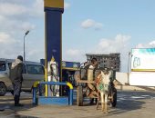 تهريب البنزين على عربية كارو من محطة للوقود على طريق "المنصورة - شربين"