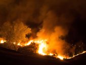 الحرائق تلتهم 32 ألف هكتار من غابات ولايات شرق ووسط الجزائر